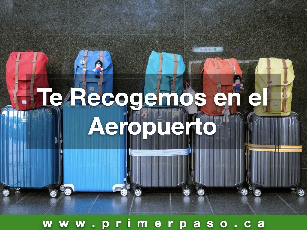 Te Recogemos en el Aeropuerto - Primer Paso Canadá